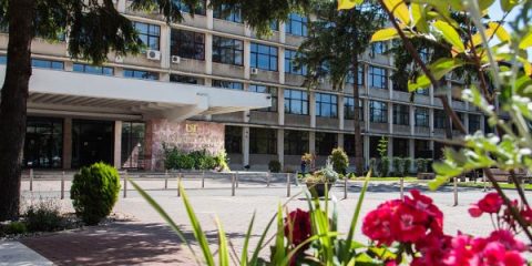 Imagine-cu-logo-UVT-taiata-1-q2ckqdlteur4tbhrt6x2tc5bk7r85oq6u5vj52ushk