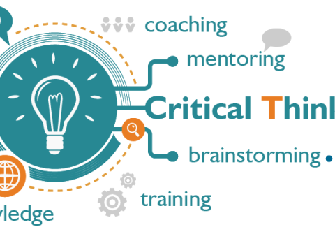 Coaching, mentoring and critical thinking Romania